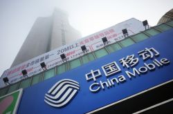（7分钟教程）三亚公司有哪些_哔哩哔哩-2